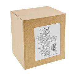 Department 56 Sale<Believe In Gnomes